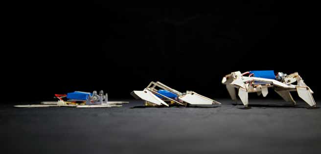 Robots inspirados en origamis se despliegan solos | Diario 2001