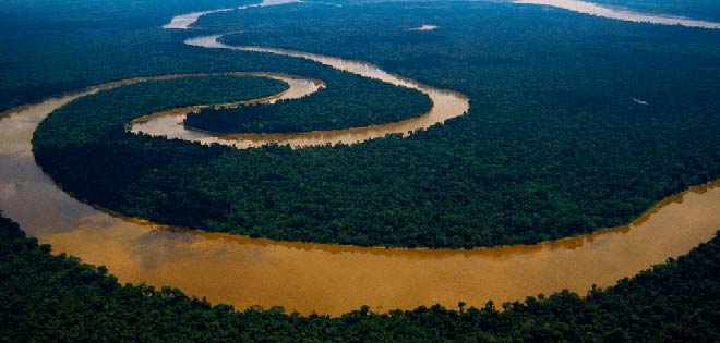 En la Amazonía ya vivían comunidades estables hace más de 10.000 años | Diario 2001