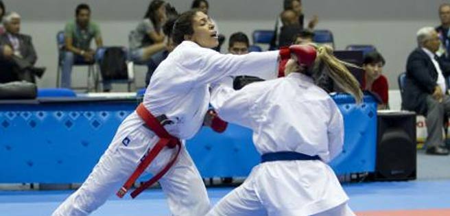 Guillén: "Si el karate estuviera en los JJOO Venezuela tendría varias medallas" | Diario 2001