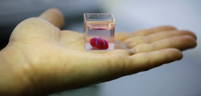 Investigadores israelíes hicieron un corazón que palpita con una impresora 3D (+Fotos) | Diario 2001
