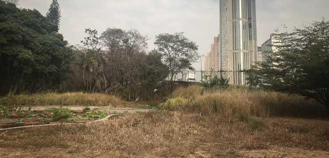 El Jardín Botánico de Caracas a punto de ser un "peladero e' chivos" | Diario 2001