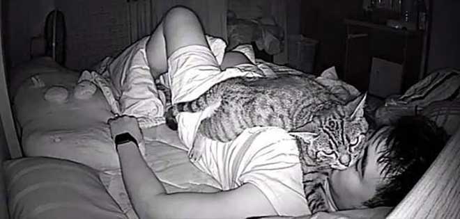 Ocultó una cámara en su cuarto y descubrió que a su gato le fascina dormir en su cara | Diario 2001