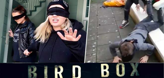 Mira los videos más locos del nuevo Bird Box Challenge | Diario 2001