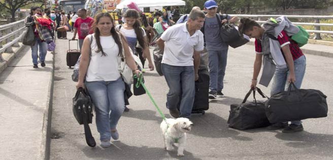 Emigrar con mascotas es "un lujo" para los venezolanos | Diario 2001