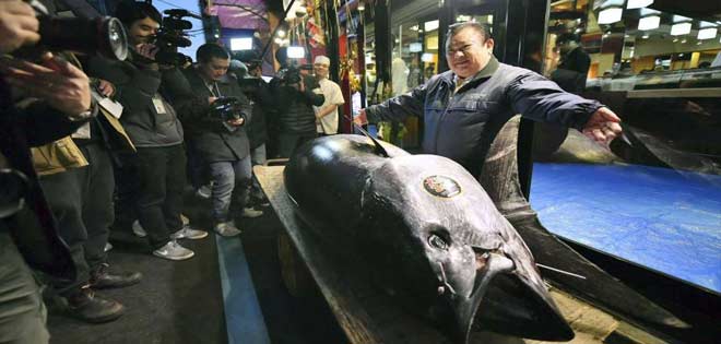 Venden atún aleta azul en 3 millones de dólares en Tokio | Diario 2001