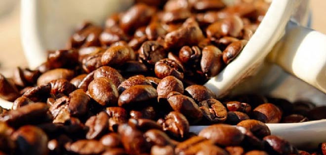 Costa Rica instalará laboratorios para investigación sobre café | Diario 2001