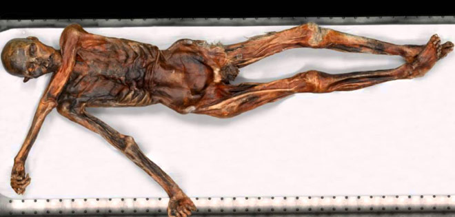 Las herramientas de momia Ötzi arrojan más luz sobre su vida hace 5.300 años | Diario 2001
