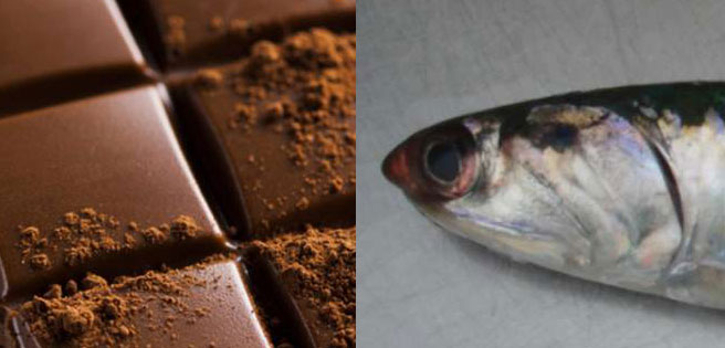 Crean chocolate elaborado de pescado para combatir anemia en Perú | Diario 2001