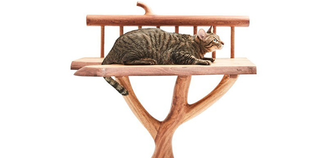 Lanzan una línea de muebles artesanales para gatos (+Fotos) | Diario 2001
