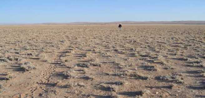 La aridez extrema dañará ecosistemas donde viven 2.000 millones de personas | Diario 2001