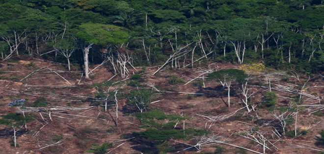 UE urge a Brasil a mostrar datos positivos sobre deforestación en Amazonía
