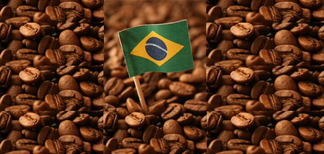 Brasil registró en noviembre nuevo récord en sus exportaciones de café