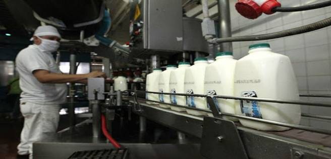 Industria láctea afectada por bajos recursos del venezolano