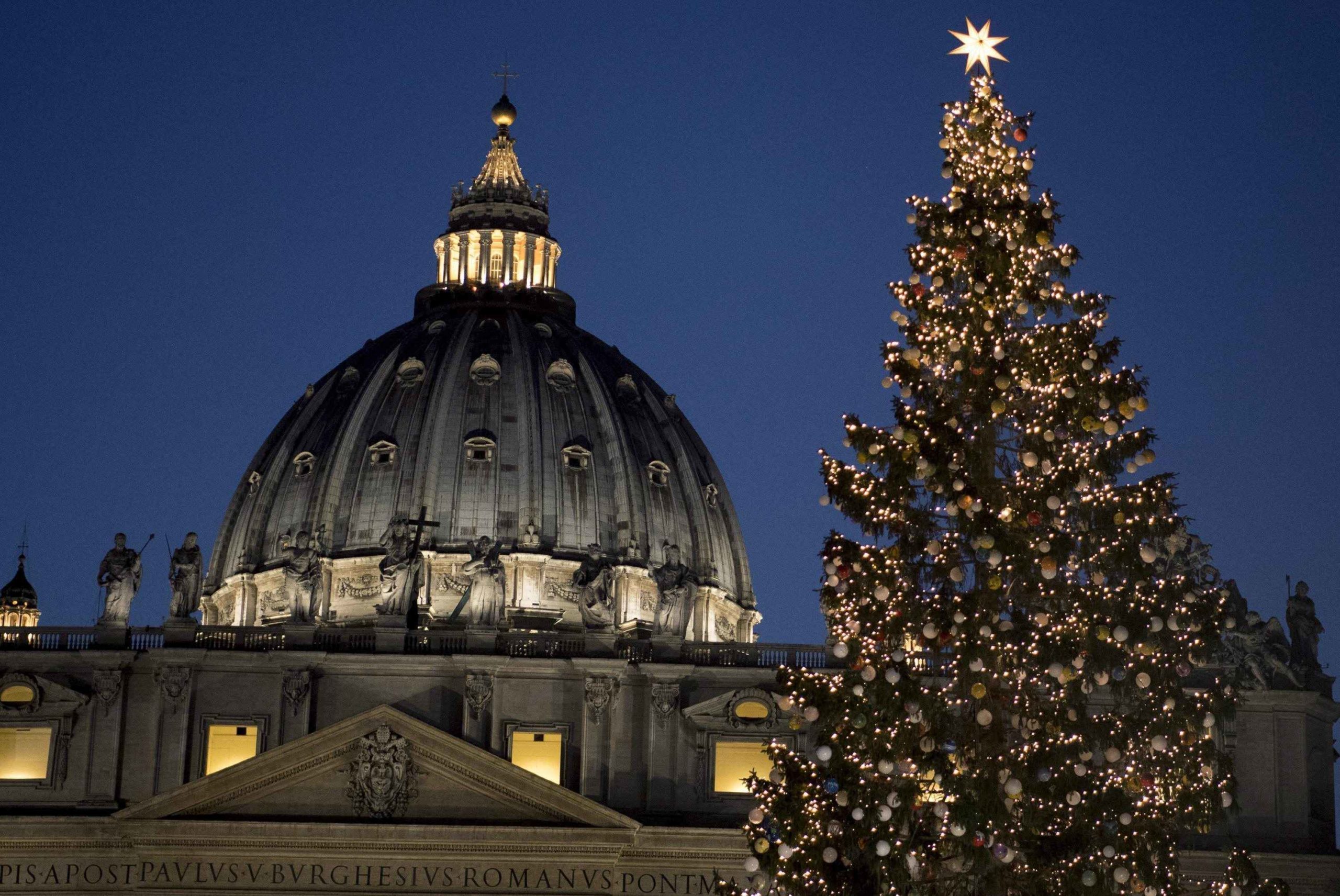 Vaticano inaugura pesebre y enciende árbol de Navidad