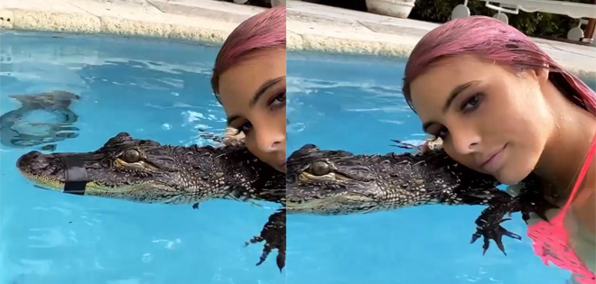 Critican a Lele Pons por bañarse en una piscina junto a un cocodrilo