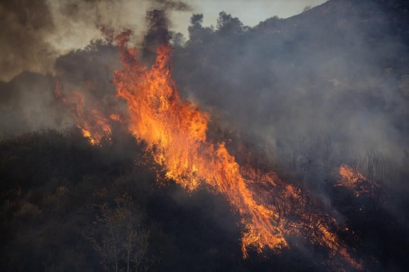 Incendio forestal en el centro de Chile obliga a evacuar a 25.000 personas