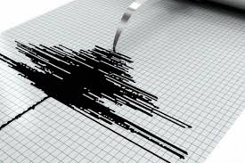 Sismo de magnitud 4,4 se registró al sur de Güiria