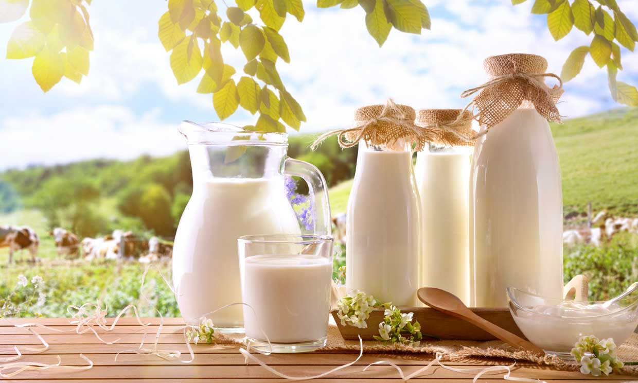 La leche: El alimento más completo | Diario 2001