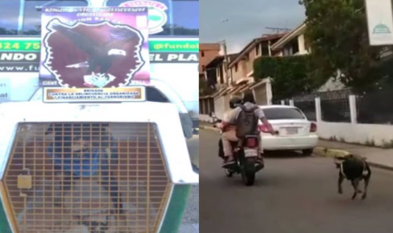 Hombre que arrastra a su perro con mecate es detenido en San Cristóbal