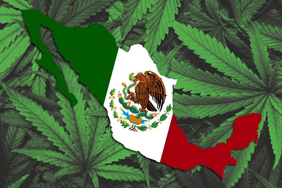 Gobierno mexicano publica tres años después el reglamento de cannabis
