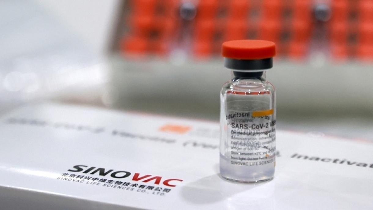 Ecuador recibe 700.000 dosis de la vacuna Sinovac | Diario 2001