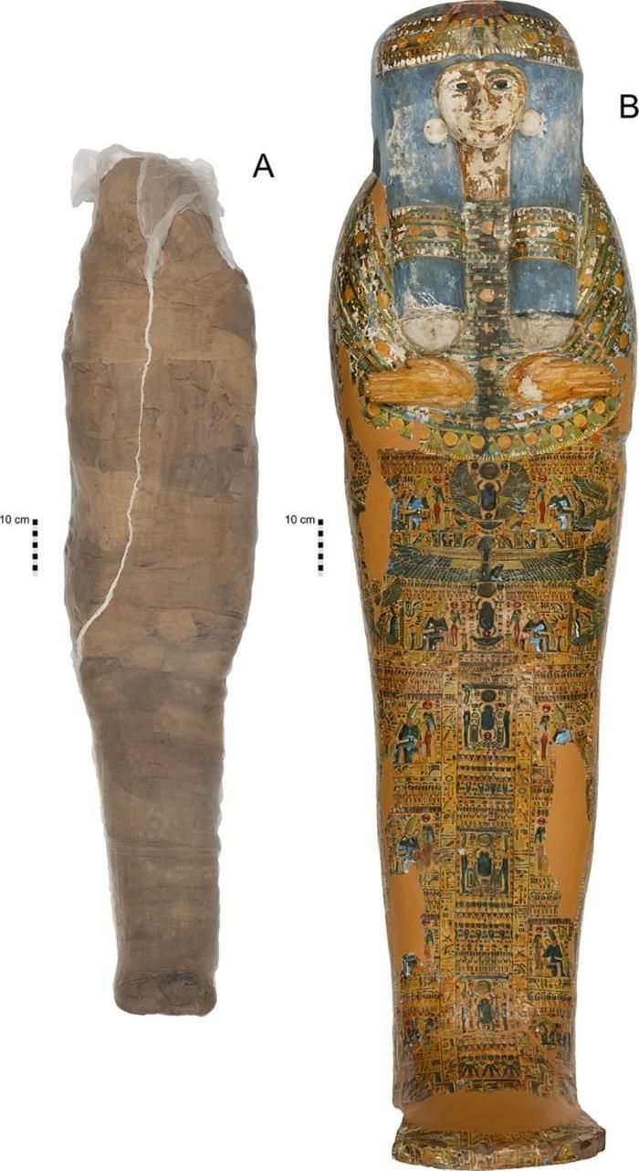 Una momia egipcia con un raro tratamiento mortuorio, un caparazón de barro