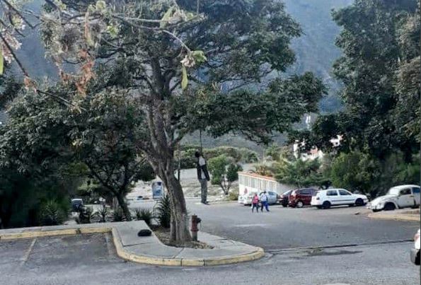 Cicpc investiga muerte de hombre en Mérida (+Fotos) | Diario 2001