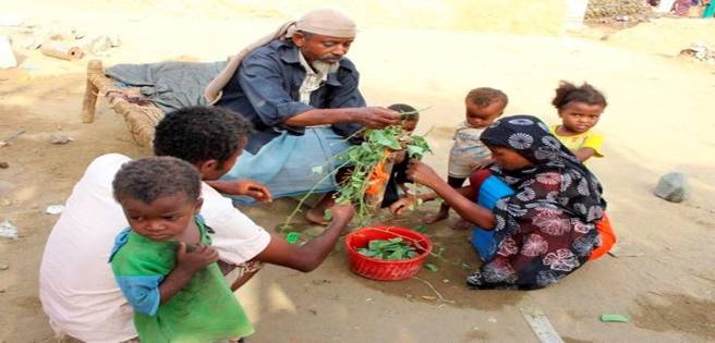 Población de Yemen come hojas hervidas para sobrevivir