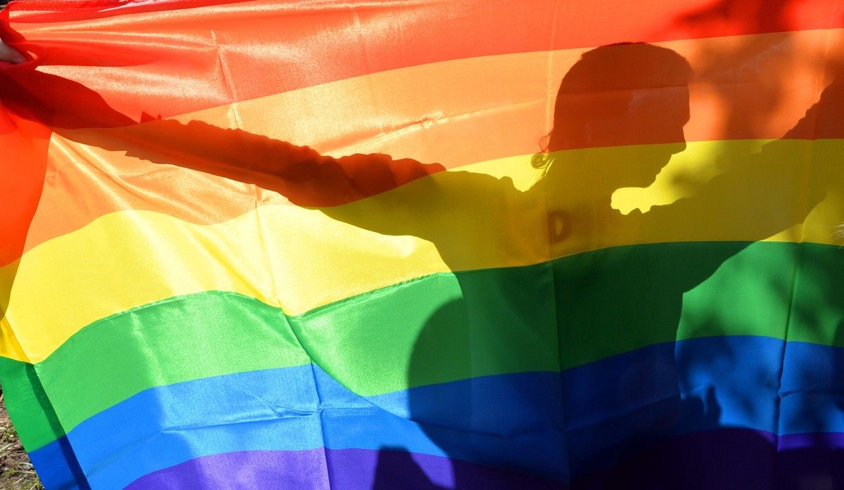 Movimientos LGBTI llegan a la entrada del Palacio Federal Legislativo | Diario 2001