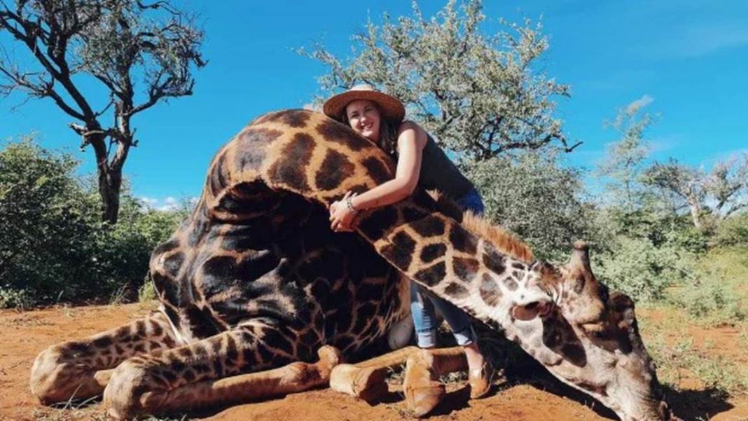 Causa indignación mujer que cazó a una jirafa y exhibió su corazón
