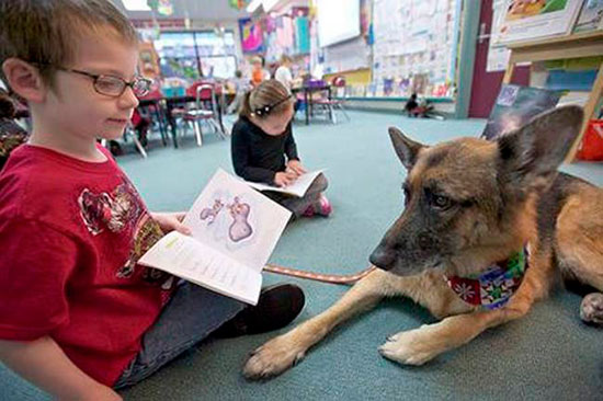 Los perros pueden ayudar a los niños en el aprendizaje | Diario 2001