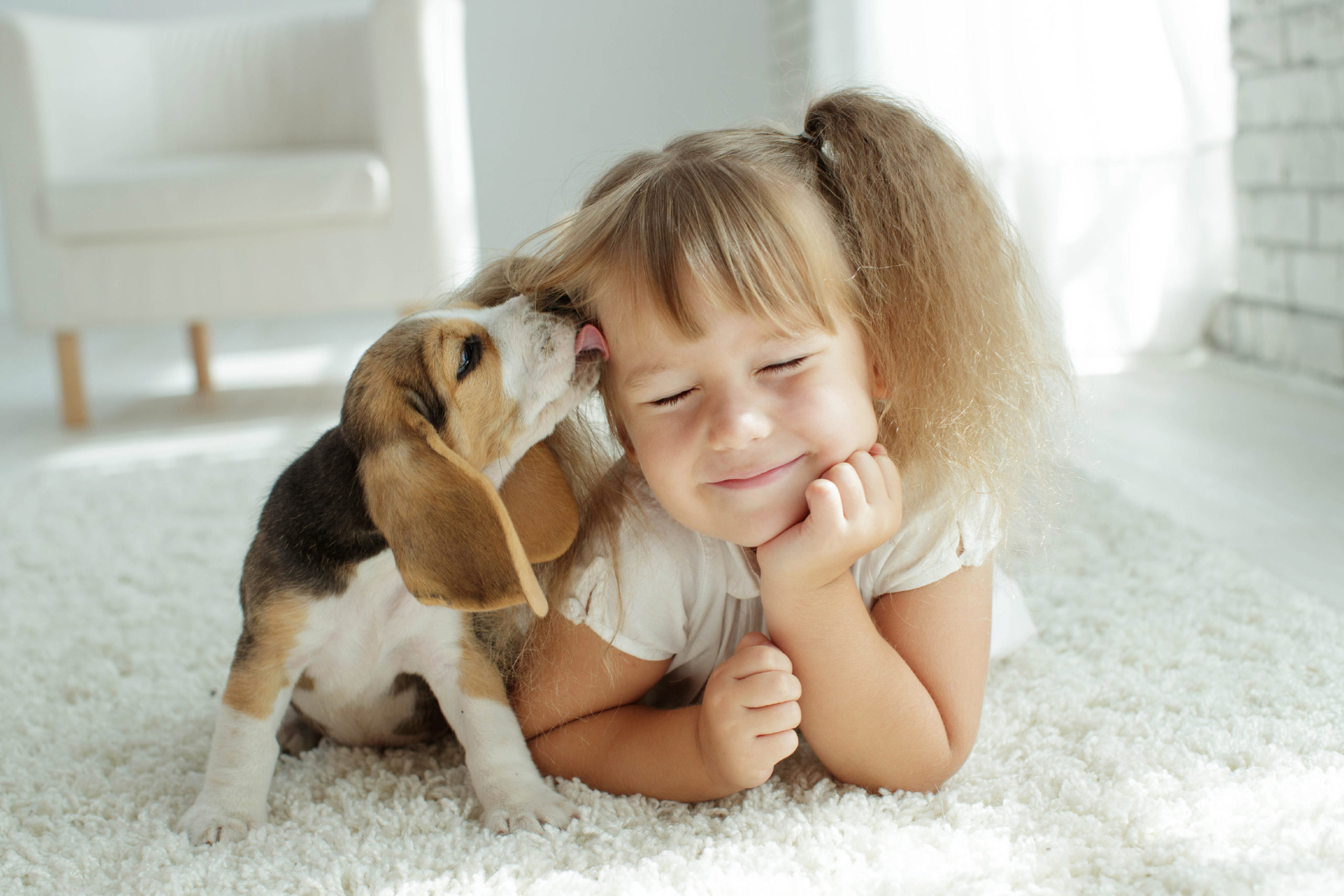 Mejores mascotas para los niños | Diario 2001