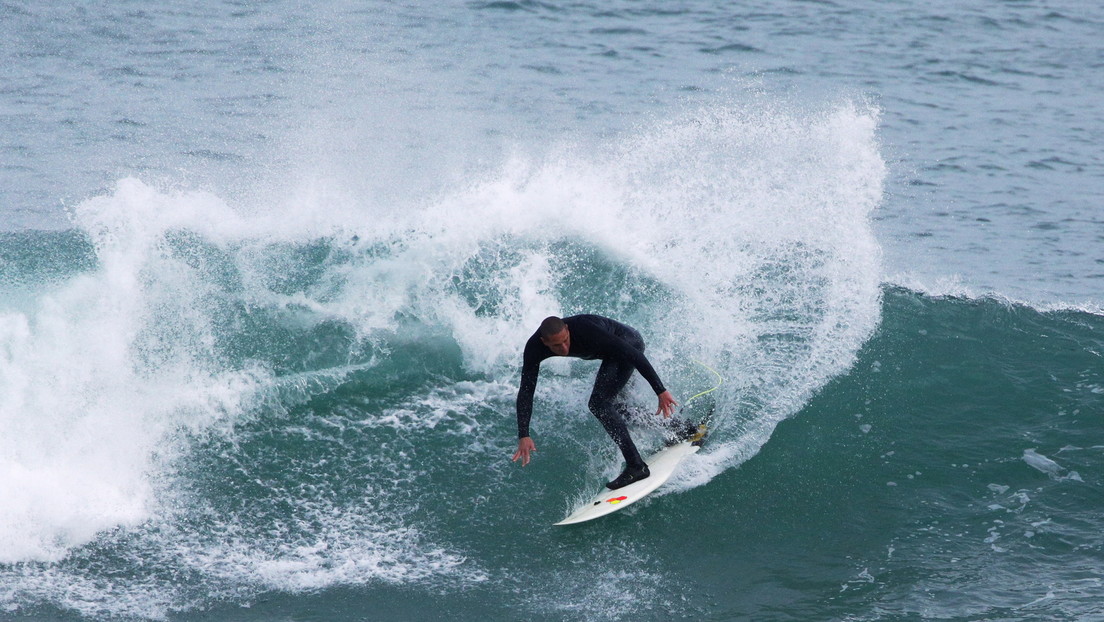 "Quiere toda la atención": Una mantarraya se cuela en la foto de un surfista en Florida (FOTO)
