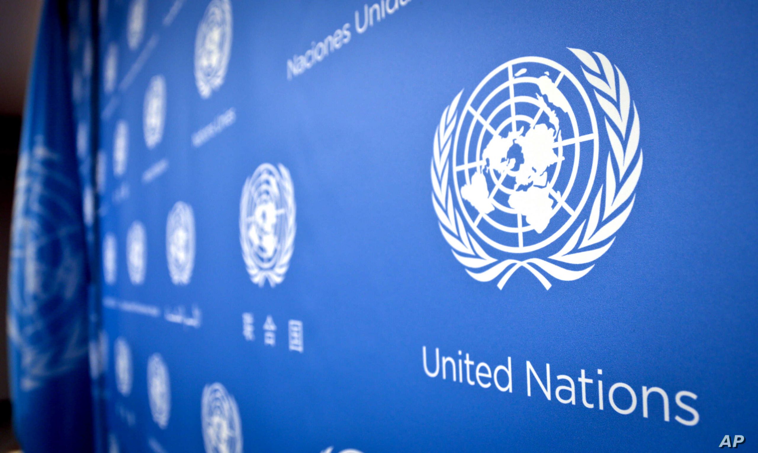 Este lunes inicia período de sesiones virtuales en la ONU | Diario 2001
