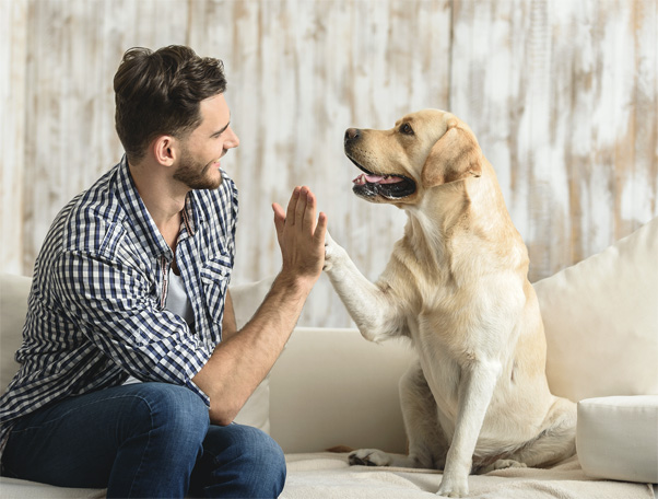 Aprende a descifrar las posturas corporales de tu perro | Diario 2001