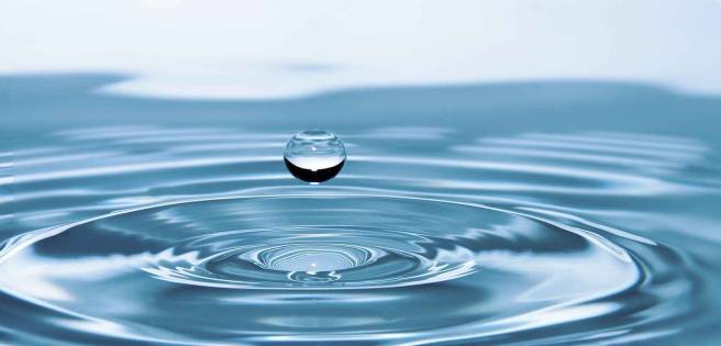 Día Mundial del Agua: conciencia y prevención