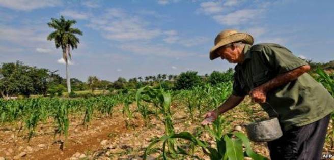 Día del Campesino: un tributo a los profesionales agrarios