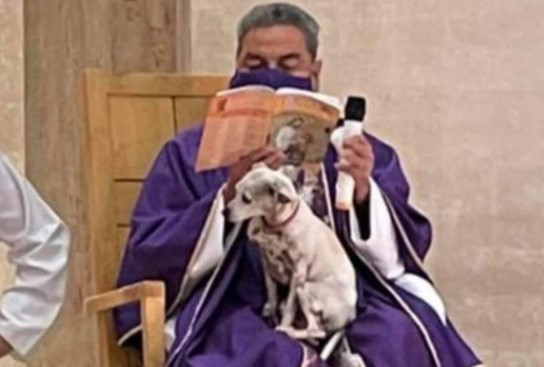 Un sacerdote oficia misa en México con su perrita en el regazo