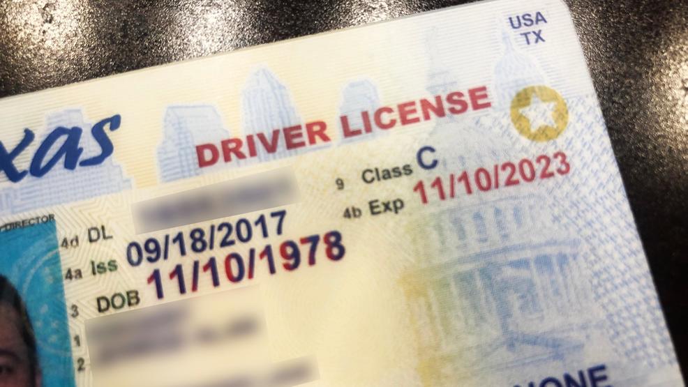 Florida buscan otorgar licencias de conducir a indocumentados
