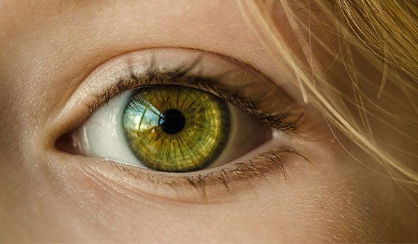 Desarrollo de implante de retina promete visión artificial a los ciegos