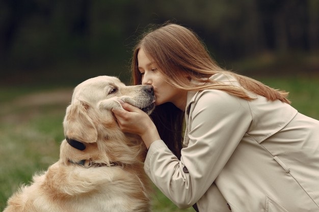 ¿Qué pasa cuando los perritos envejecen? | Diario 2001