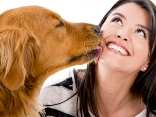 ¿Tu perro realmente te quiere? | Diario 2001