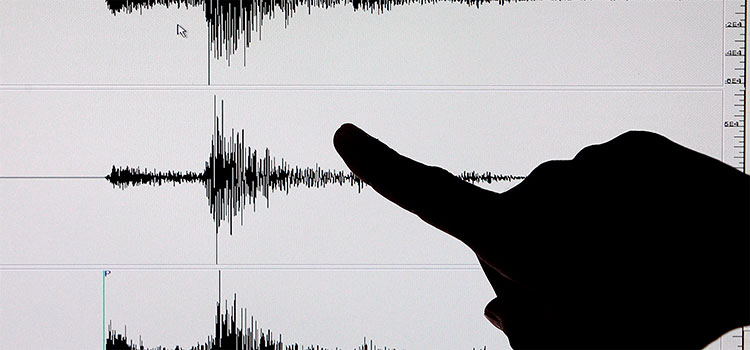 Sismo de magnitud 4,6 sacude el oeste de Apure