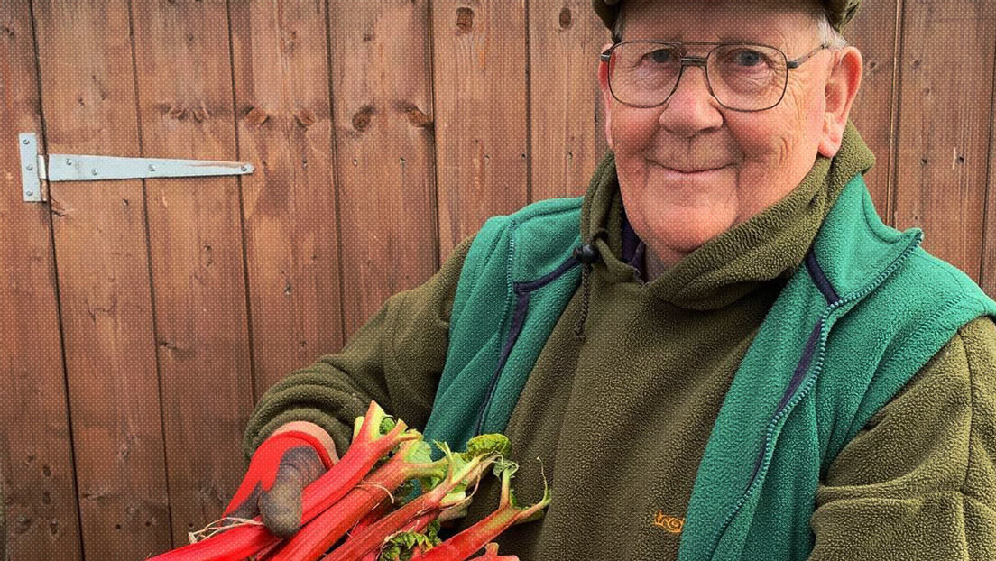 Un jubilado de 72 años triunfa en la Red con fotos de verduras gigantes