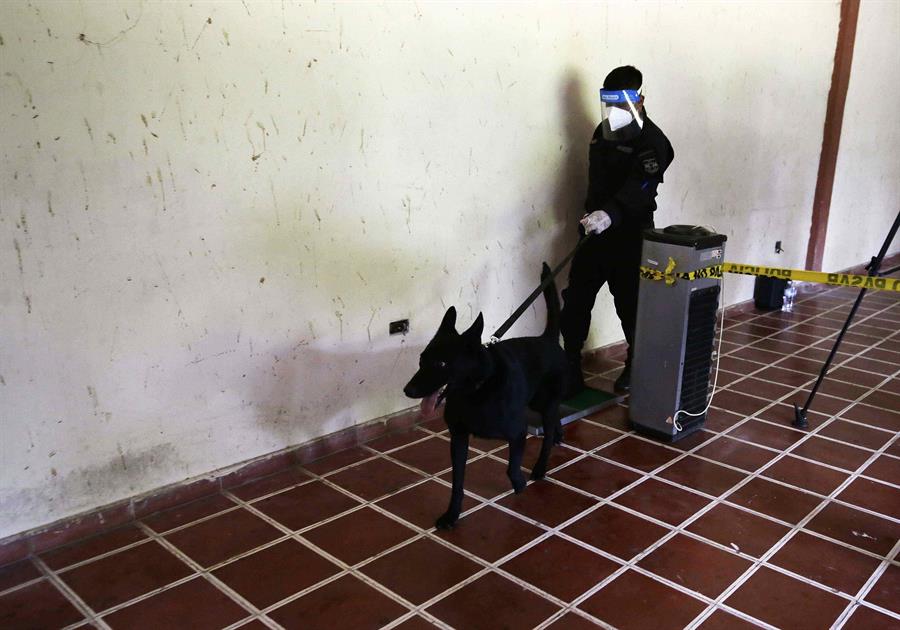 El Salvador utilizará a perros policías para detectar casos de coronavirus