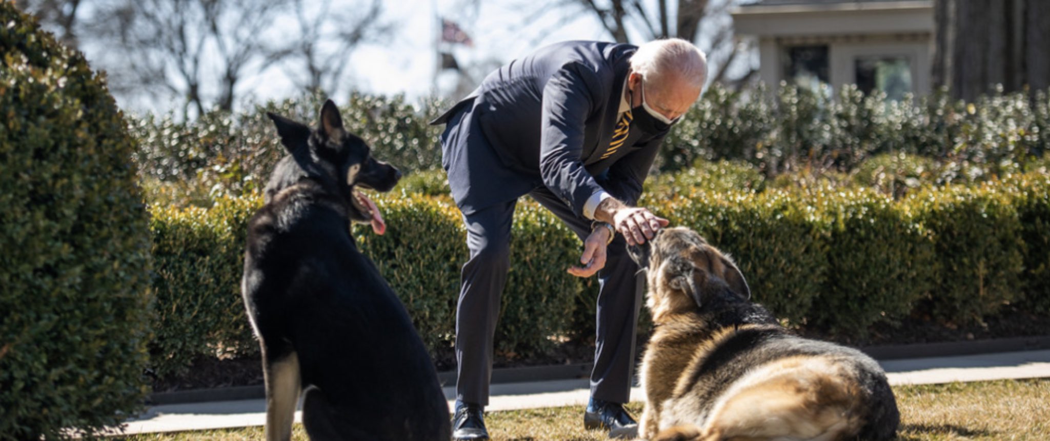 Mascota de la familia Biden recibe ayuda profesional tras incidentes