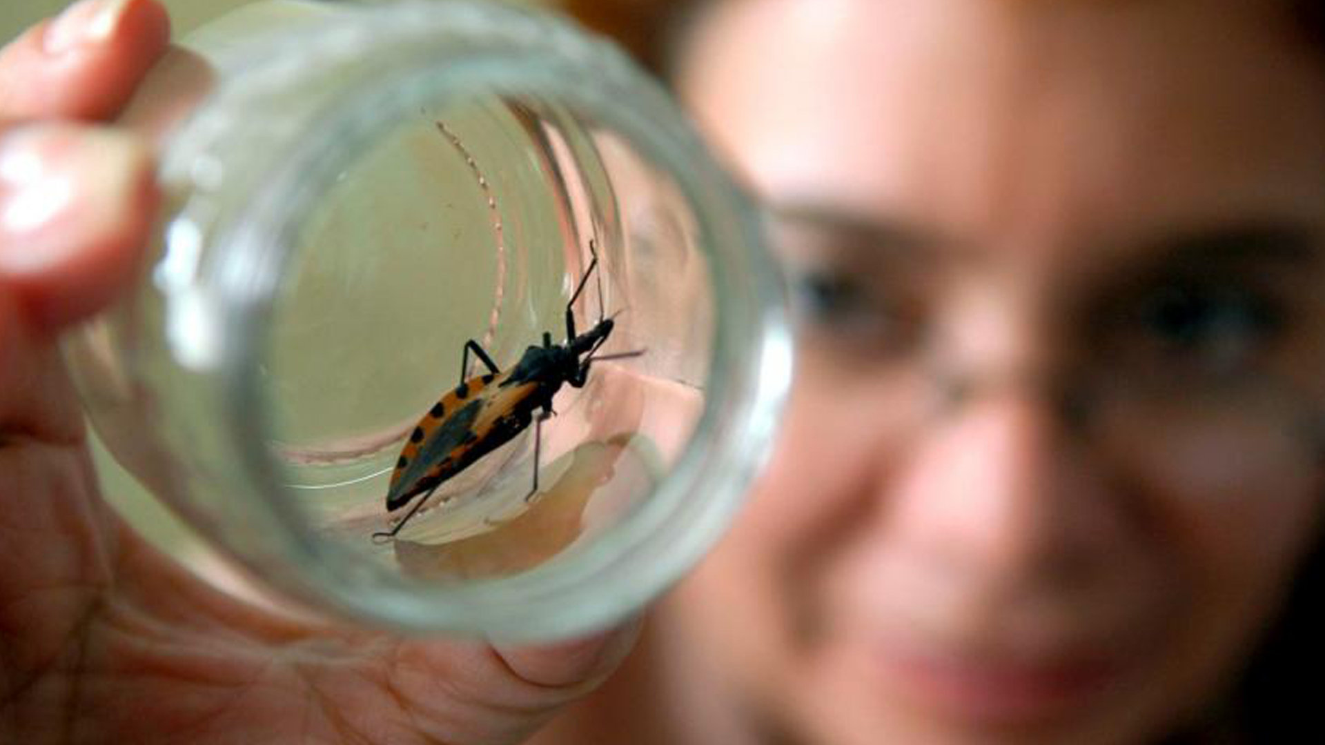 14 de abril: Día Mundial de la Enfermedad de Chagas | Diario 2001