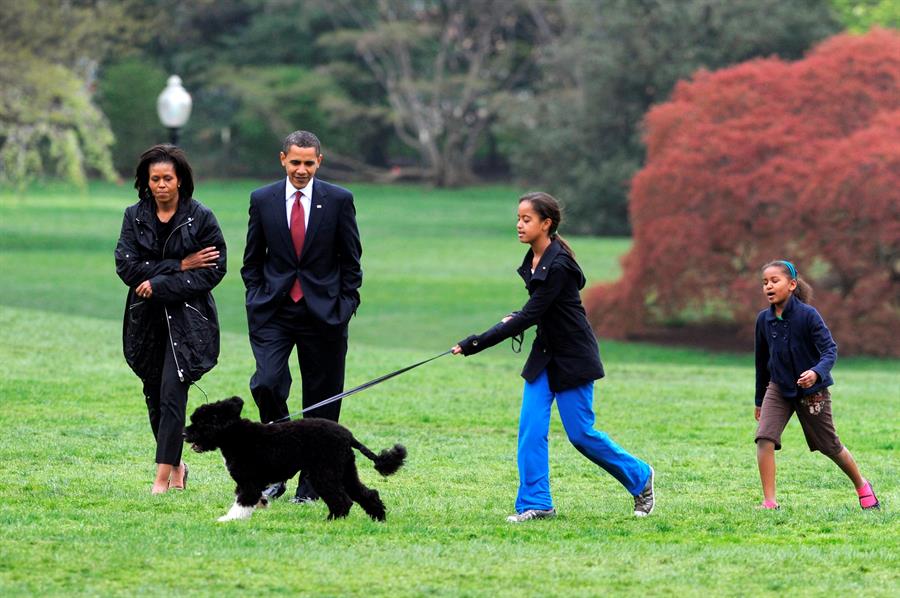 Barack y Michelle Obama anuncian la muerte de su perro "Bo"