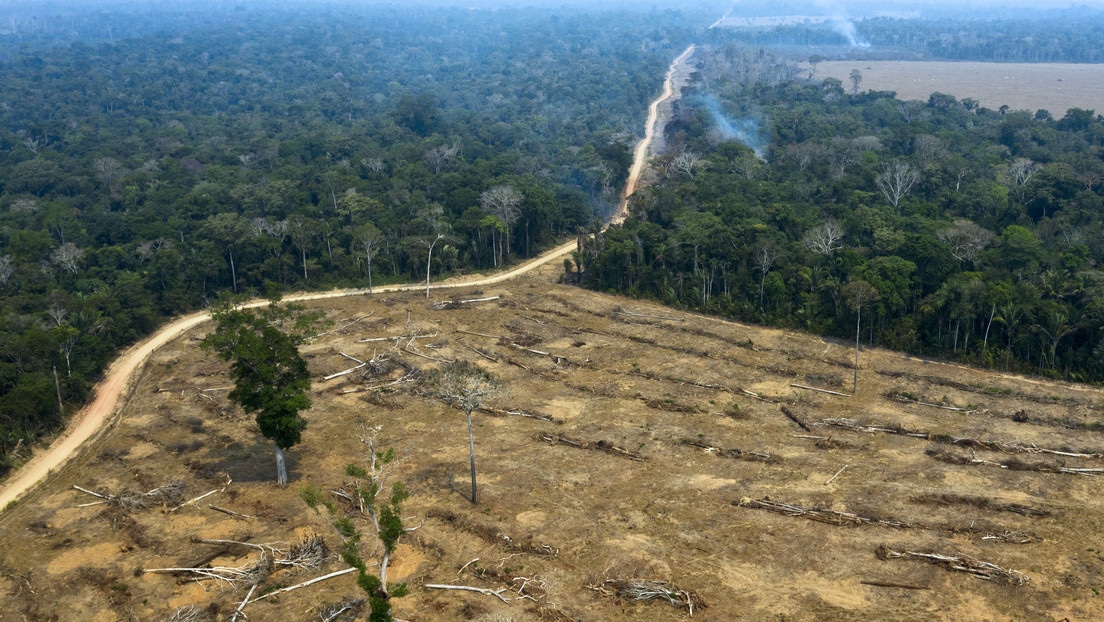 Crece la deforestación de la Amazonía brasileña