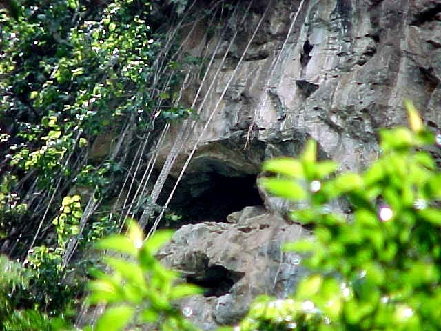 Cuevas del Indio, lugar para conocer en El Hatillo | Diario 2001
